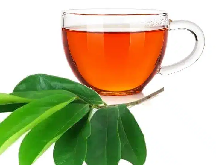 Soursop Leaves with tea cup