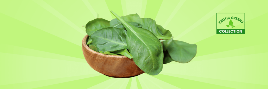 Marogo Spinach: Your Guide to a Leafy Green Superfood Sensation - FarmLinkr