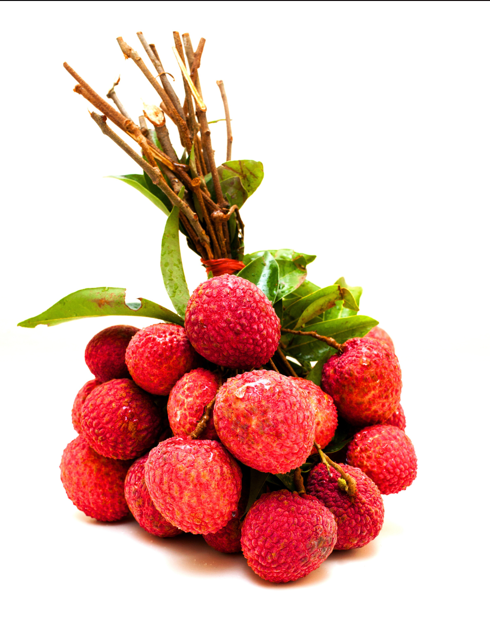 Lychee Bundled